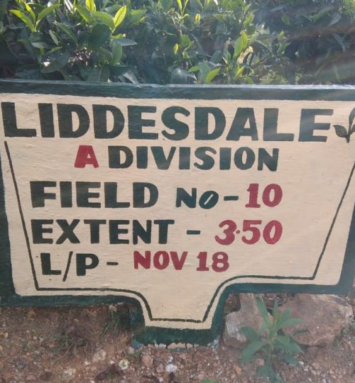 Liddalesdate
